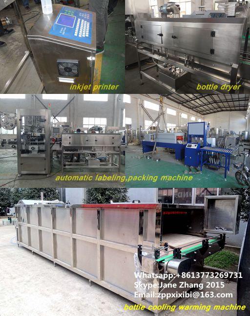 Linea di latte di vetro di produzione asettica dell'imbottigliatrice/di imbottigliamento commestibile SS304 4