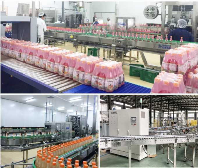 Linea di produzione arancio della frutta dell'ananas automatico di Juice Filling Machine 500ml 1